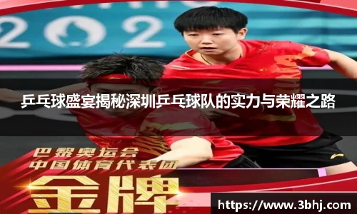 乒乓球盛宴揭秘深圳乒乓球队的实力与荣耀之路